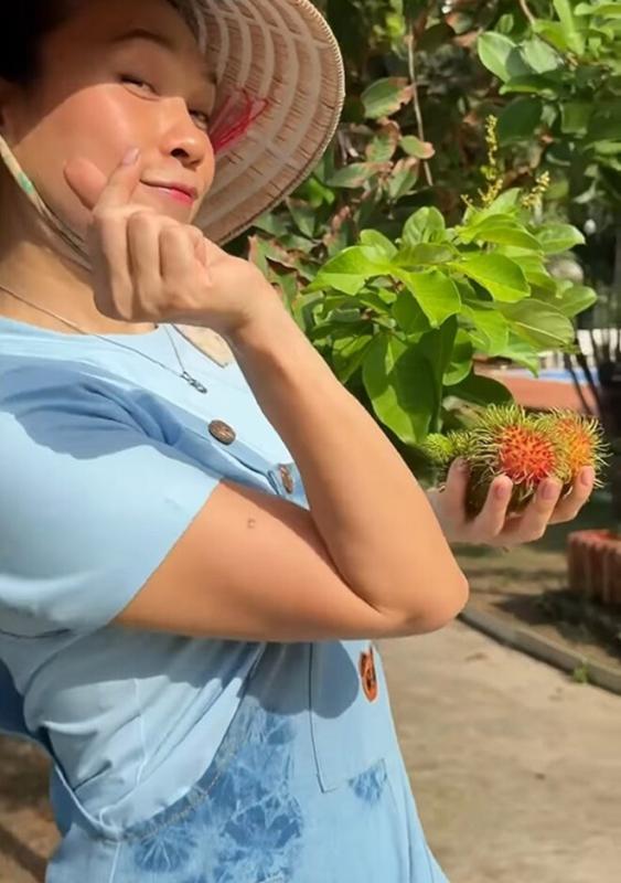 Cơ ngơi ở TP.HCM của Mỹ Tâm- Ảnh 2.