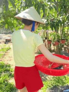 Căn nhà ở quê của Hoa hậu Bảo Ngọc