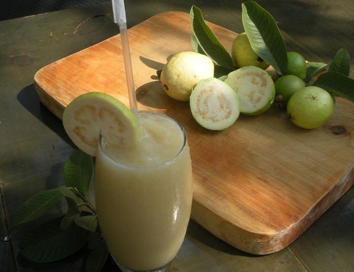 Lời khuyên đến tất cả các gia đình đang trồng cây ổi - Ảnh 2.