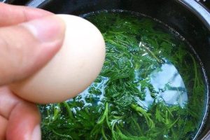 Lời khuyên dành cho tất cả các gia đình đang trồng và ăn cây ngải cứu
