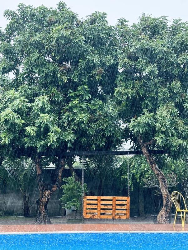 Cơ ngơi ở TP.HCM của Mỹ Tâm- Ảnh 9.