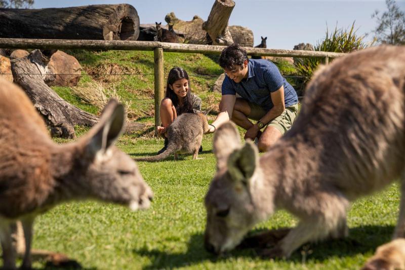 Đi Úc mà chỉ ở Sydney thì phí, khám phá ngay 3 vùng đất đẹp “nín thở” tại New South Wales - Ảnh 6.