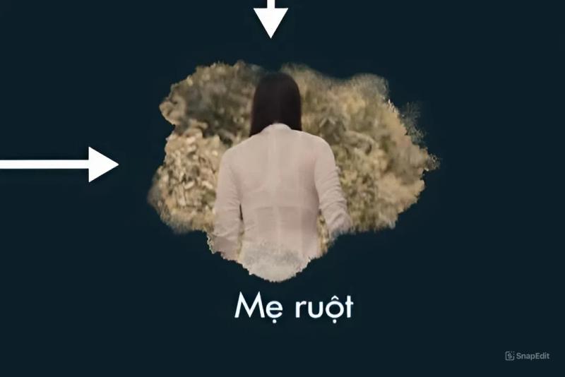 Gương mặt bị AI thay thế của Trương Ngọc Ánh- Ảnh 4.