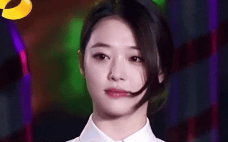 Làng giải trí không thể tìm ra đoá hoa lê tuyết thứ 2- Ảnh 6.