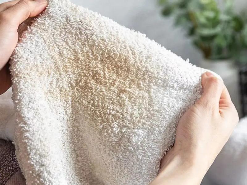 Lời khuyên đến tất cả các gia đình đang dùng khăn tắm - Ảnh 4.
