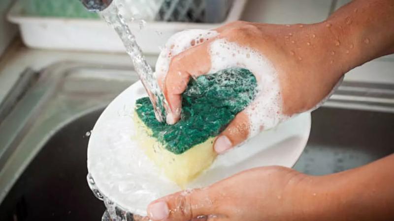 Tất cả các gia đình đang dùng miếng bọt biển rửa bát xin chú ý! - Ảnh 3.
