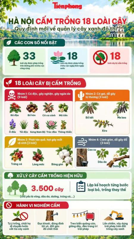 Vì sao Hà Nội cấm trồng loài cây mang tên dược liệu quen thuộc, không phải cây nào ra hoa cũng có quả? - Ảnh 1.