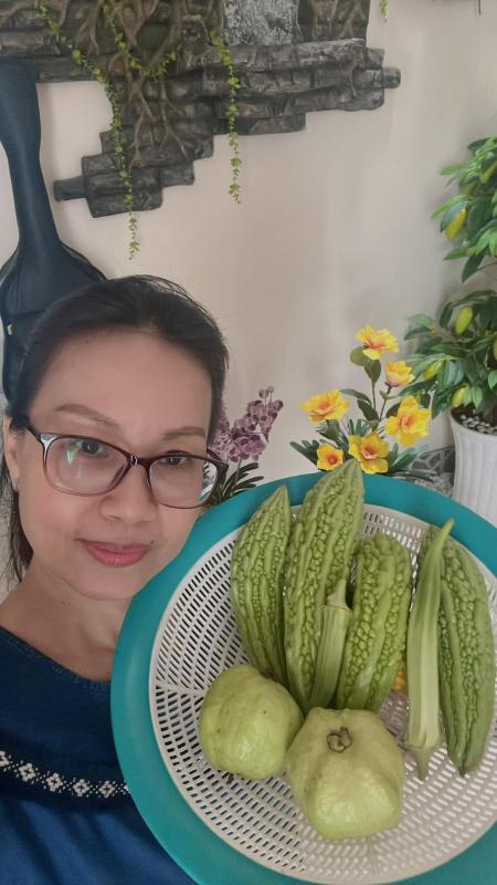 Chị gái ca sĩ giàu nhất Việt Nam: Ở biệt thự trăm tỷ chỉ mê hái rau, được nhận bằng khen danh giá cấp quốc gia- Ảnh 8.