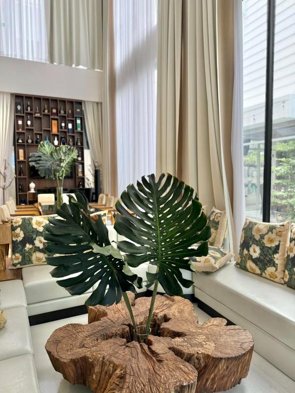 Nữ diễn viên sống trong biệt thự 1.000 m2 về Đồng Tháp xây khu sinh thái rộng gấp 50 lần- Ảnh 5.