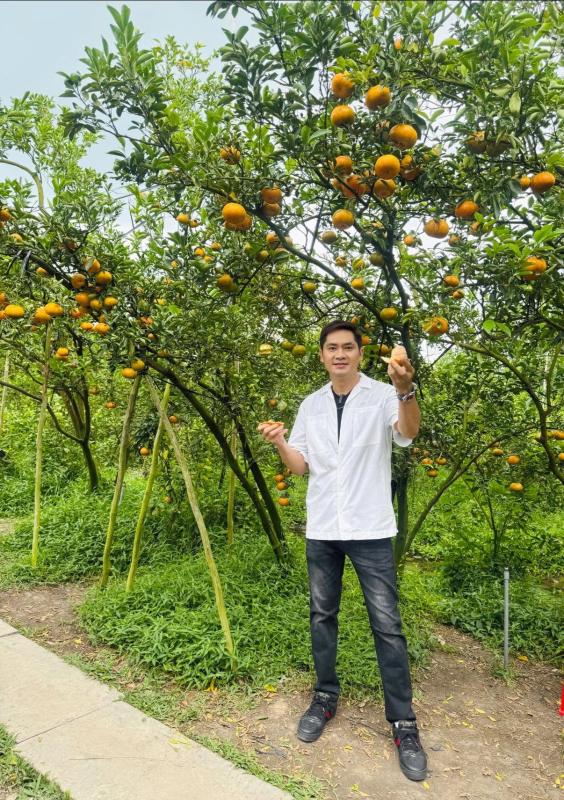 Nam diễn viên thôi chức lãnh đạo, bỏ phố về Đồng Tháp sống trong nhà vườn 20.000 m2- Ảnh 6.