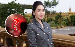 Gương mặt lão hoá gây sốc của Nhật Kim Anh - Ảnh 6.
