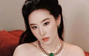 "Lưu Diệc Phi không có cửa làm Tiểu Long Nữ đẹp nhất"- Ảnh 8.