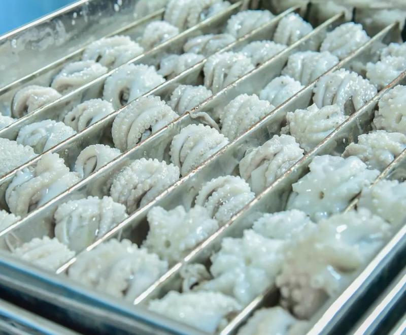 Loại hải sản bán đầy chợ Việt, được Hàn Quốc không tiếc tiền mua: Ăn ngon còn tốt từ tim đến não, xương khớp - Ảnh 2.