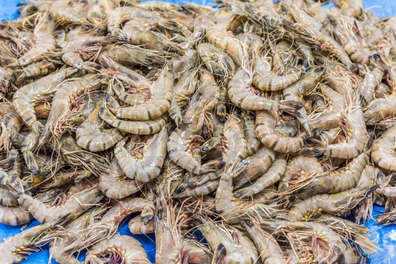 Khi mua tôm, hãy tránh mua 5 loại này! Một ngư dân già nói: Tôi không bao giờ cho người thân ăn chúng. - Ảnh 6.