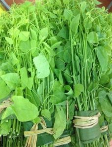 Loại rau dại có tên "bốc mùi" nhưng là vị thuốc hỗ trợ tiêu hóa và giải độc