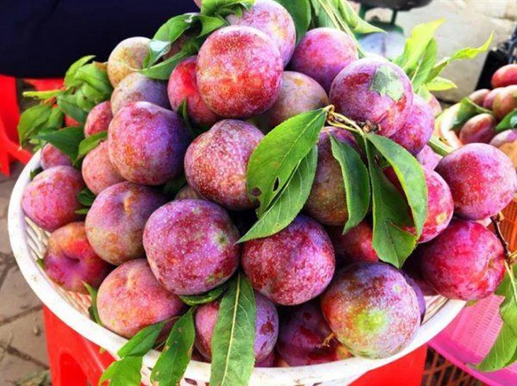 Cảnh báo thói quen ăn trái cây sai Cách: Đừng để sức khỏe bị ảnh hưởng - Ảnh 4.