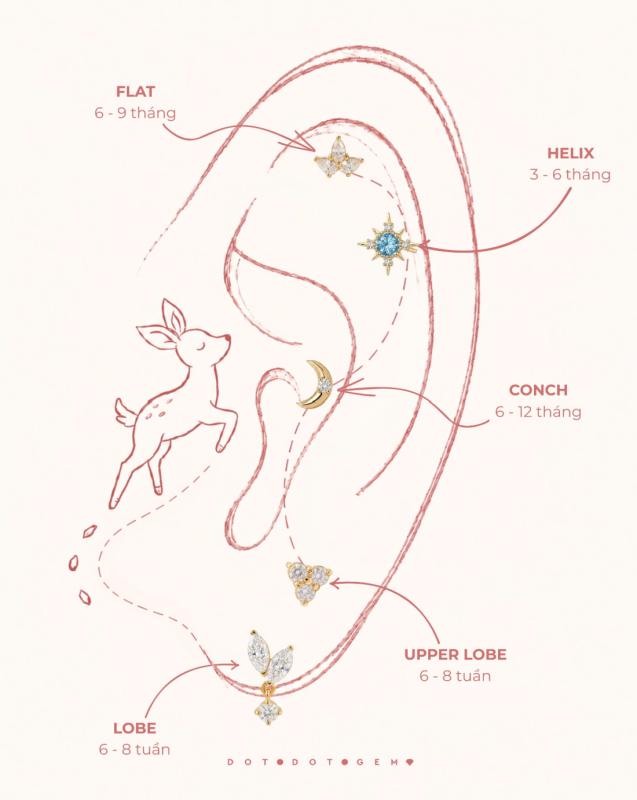 Golden Ear Map: Gợi ý 5 tọa độ trên vành tai, bí quyết đu trend mini stud chuẩn gu - Ảnh 2.