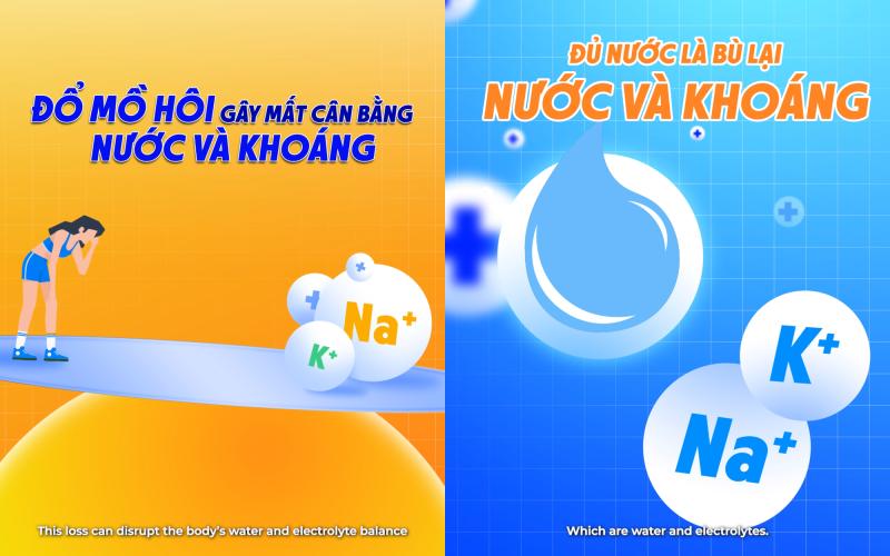 Revive Thể Thao: Bí quyết nâng cao sức bền, bứt phá giới hạn của các tuyển thủ quốc gia                  ‎       - Ảnh 2.