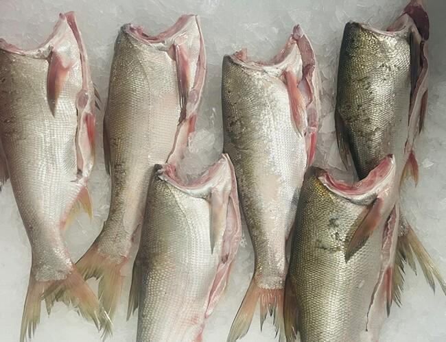 Loài cá thường bị chê vì mùi tanh nhưng lại là “kho báu” Omega-3 cực tốt cho sức khỏe- Ảnh 2.