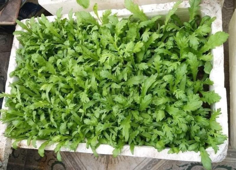 Loại rau tốt trên thế giới, xưa chỉ dùng cho vua chúa, nay chợ Việt bán vài nghìn cả mớ: Cực tốt cho sức khỏe! - Ảnh 1.