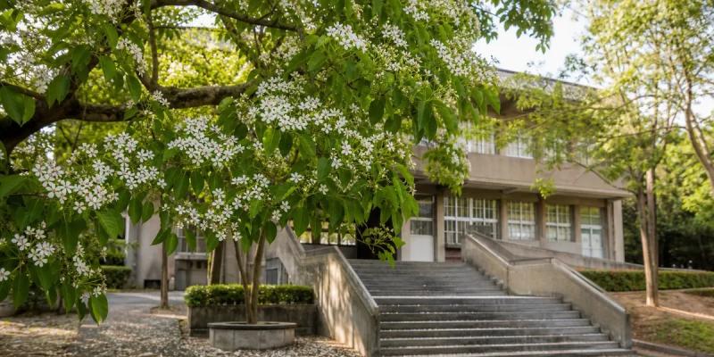 Thấy quả lạ mắt, 14 học sinh hái ăn liền phải nhập viện - Ảnh 1.
