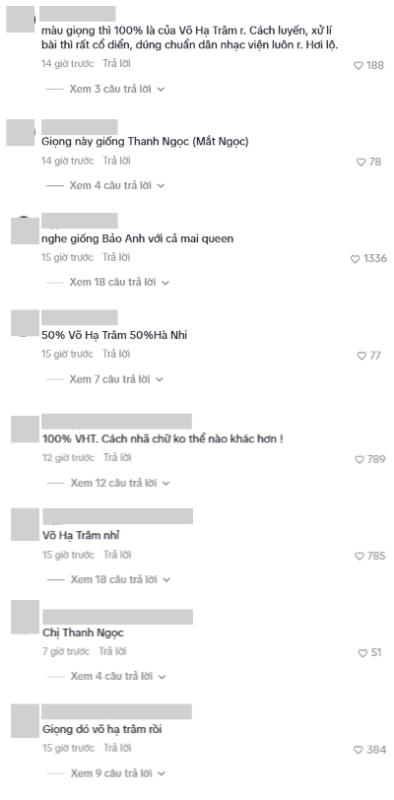 Giọng ca mới hát nửa bài đã khiến dân tình “đọc vị”, mẹ 2 con đắt show bậc nhất không lẫn vào đâu- Ảnh 3.
